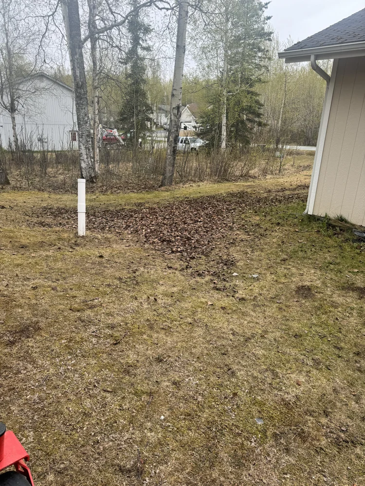 Property before spring cleanup