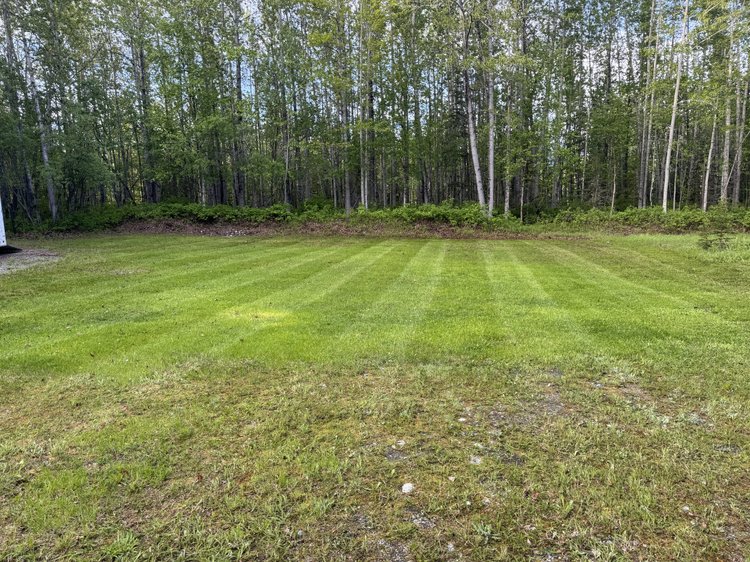 Property mowed out in Sutton
