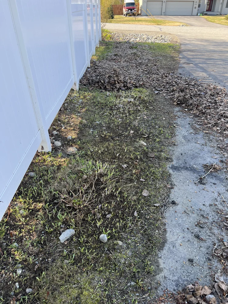 Leaf removal in Wasilla