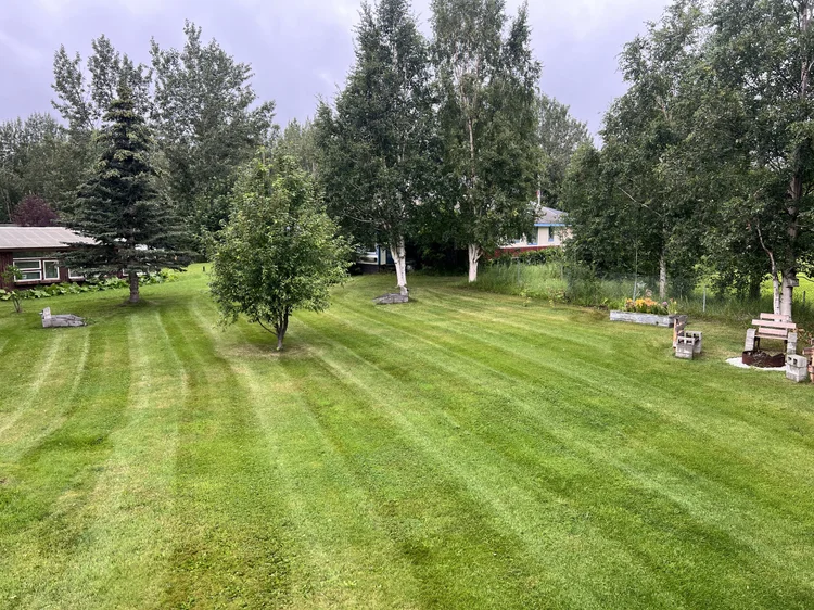 Freshly mowed grass in Palmer