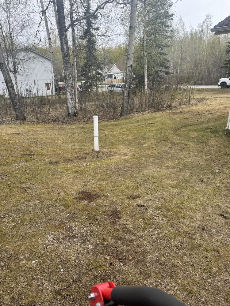 Property after spring cleanup