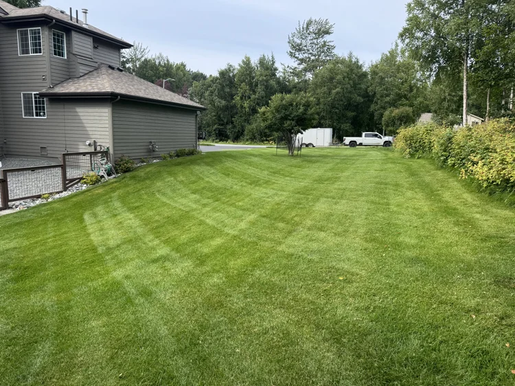 Snip&Clip Alaska lawn work in Anchorage