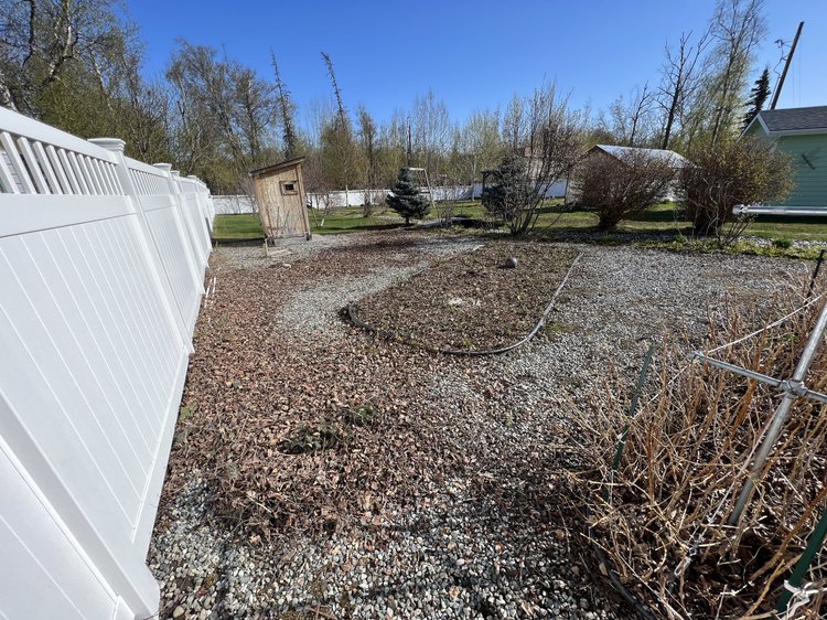 Yard before a spring cleanup