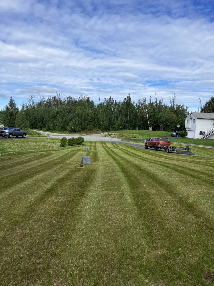Freshly mowed grass in Wasilla