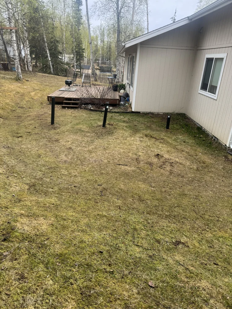 Yard after leaf cleanup