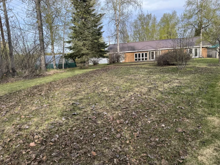 Before-and-after yard cleanup