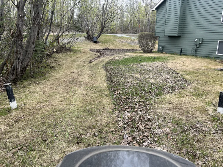 Half-and-half view of a spring cleanup in progress