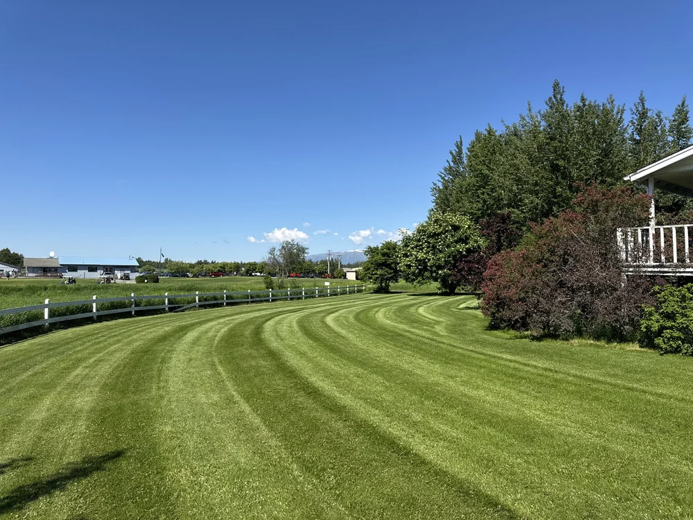 Freshly striped lawn