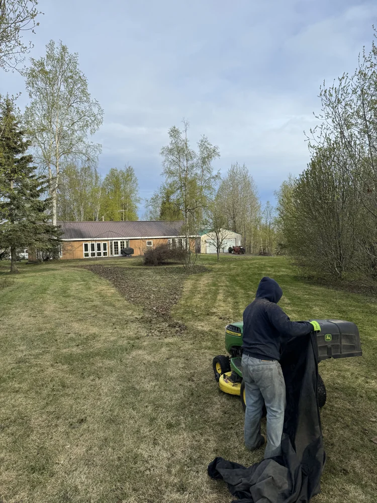 Spring cleanup in Palmer