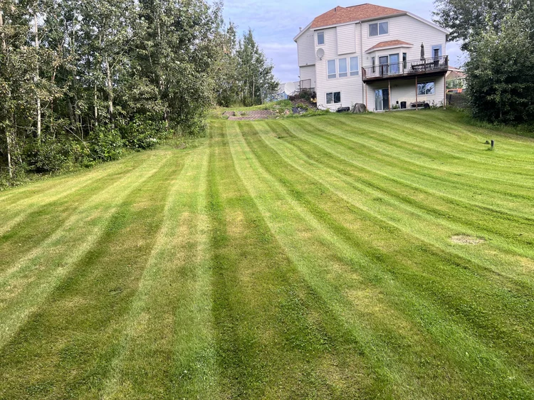 Watermelon-pattern lawn stripes
