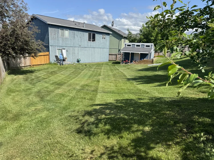 Checkerboard mowing pattern on an Anchorage lawn