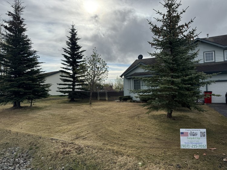 Spring cleanup completed in Palmer