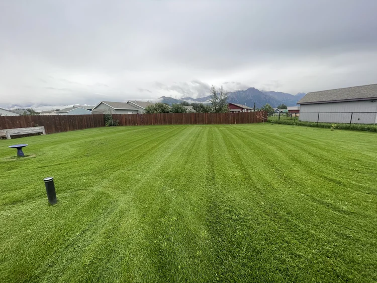 Residential lawn work