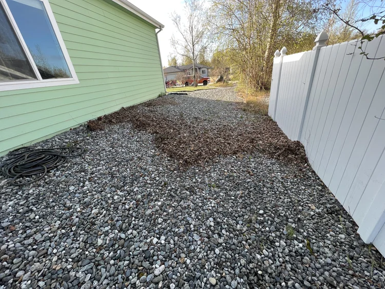 Before a spring cleanup in Wasilla
