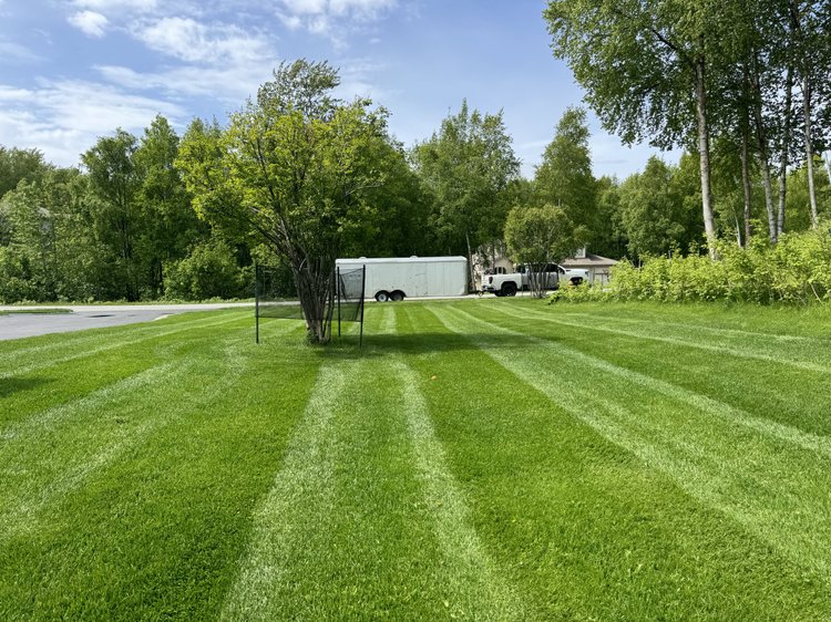 Freshly striped residential lawn after weekly mowing
