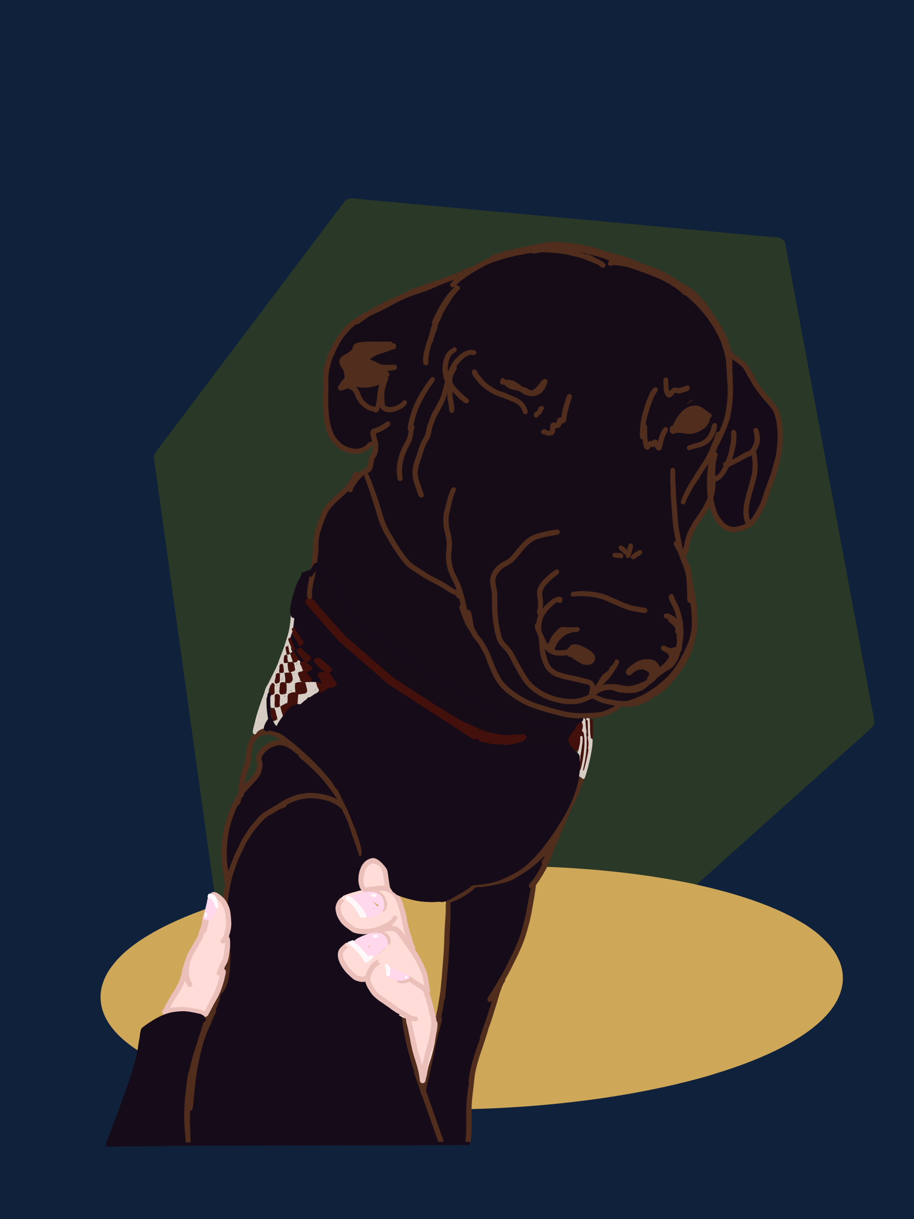 Digital Pet Portrait