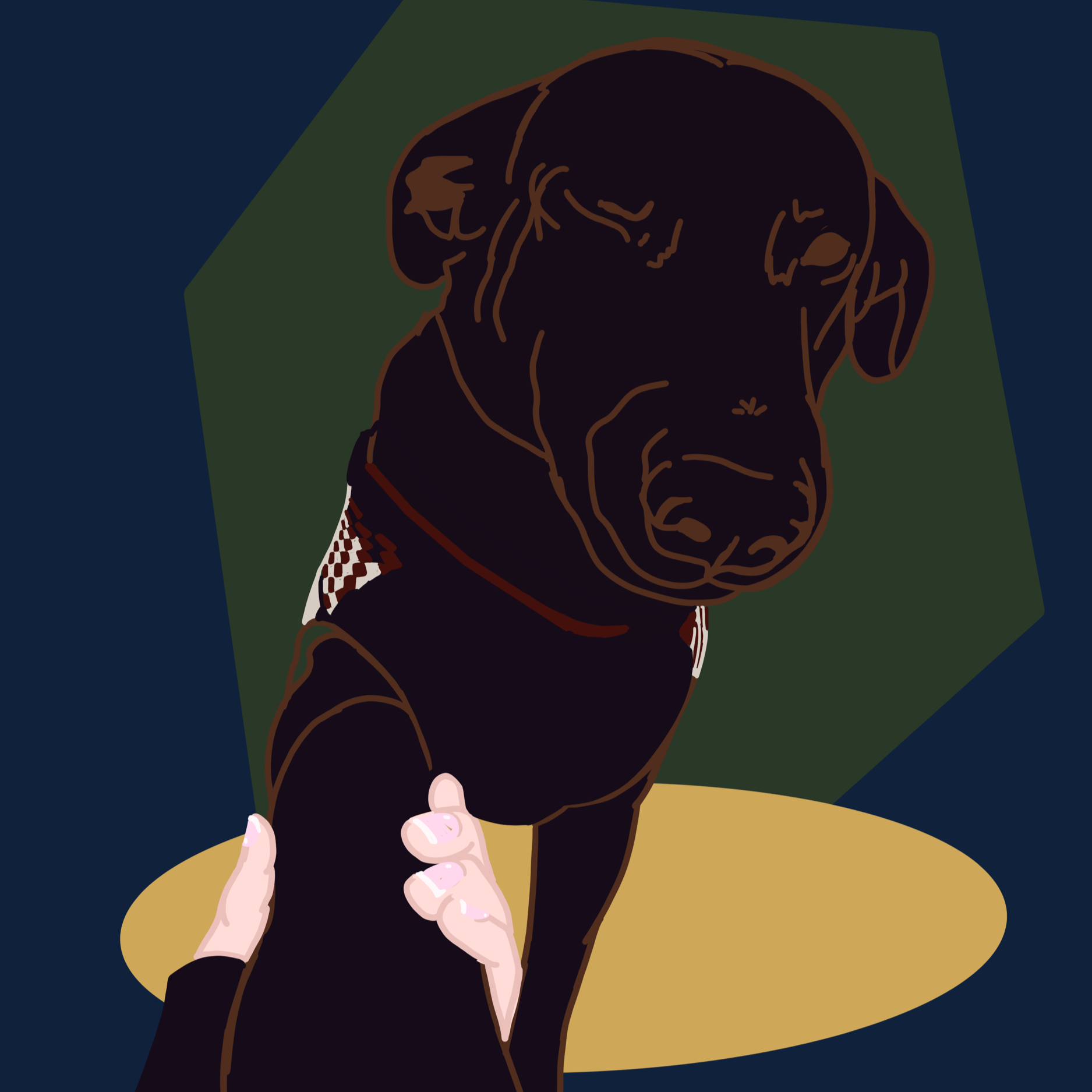 7E31B406-D3F5-4E36-981A-9DABF5270EE1.png