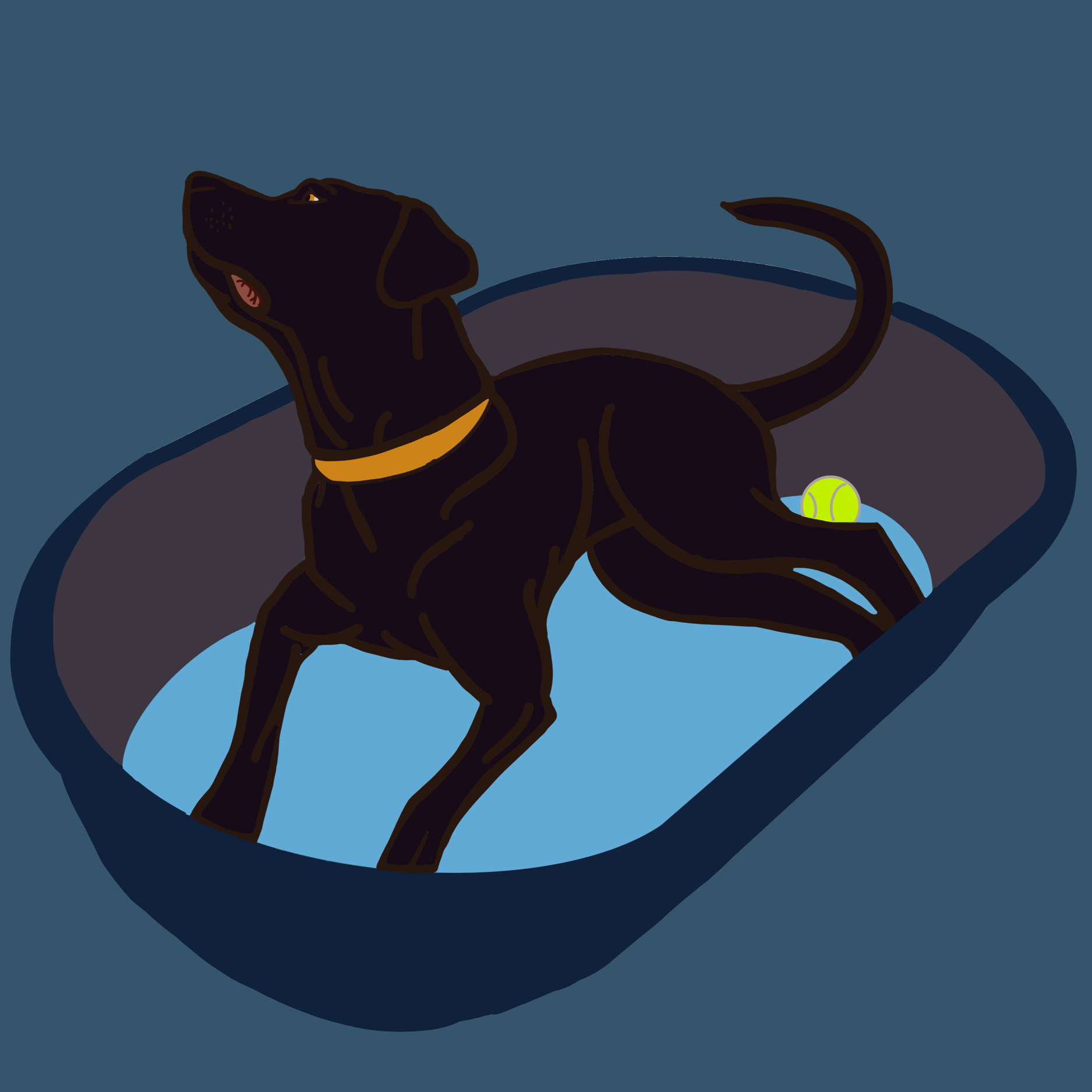 102F3021-7A1F-403F-BE3A-85C5137D4DC9.png