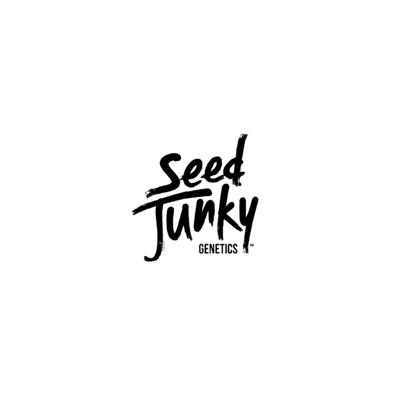 Untitled design-32.png