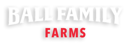 62399f68fe7aa7c07bb6cbbb_BFF_Logos_ALL-2_1_lettersWR_2Shadow_440x.png