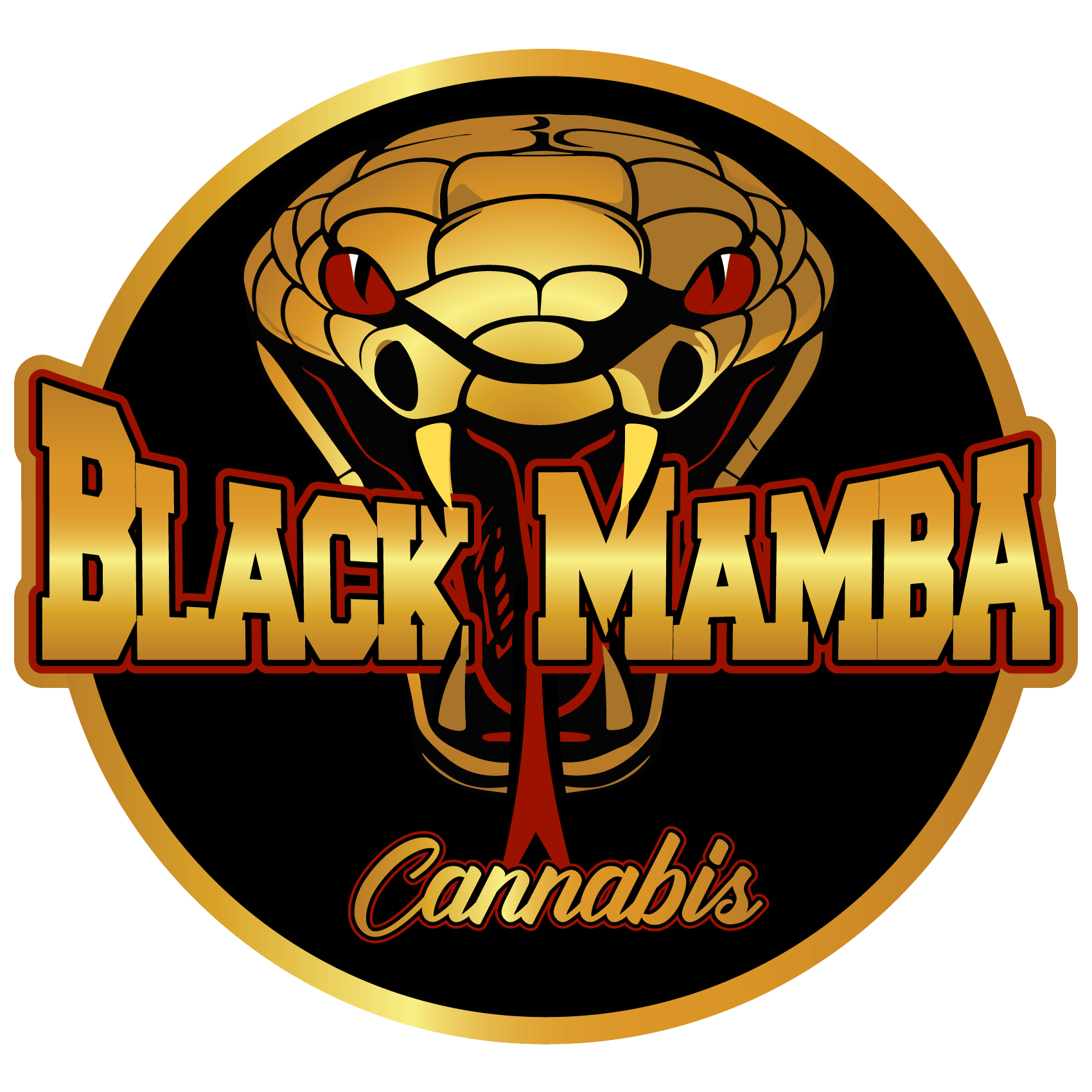 1724117080-bm_logo2__1_.png