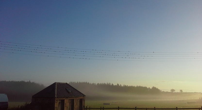View from Bogend.png