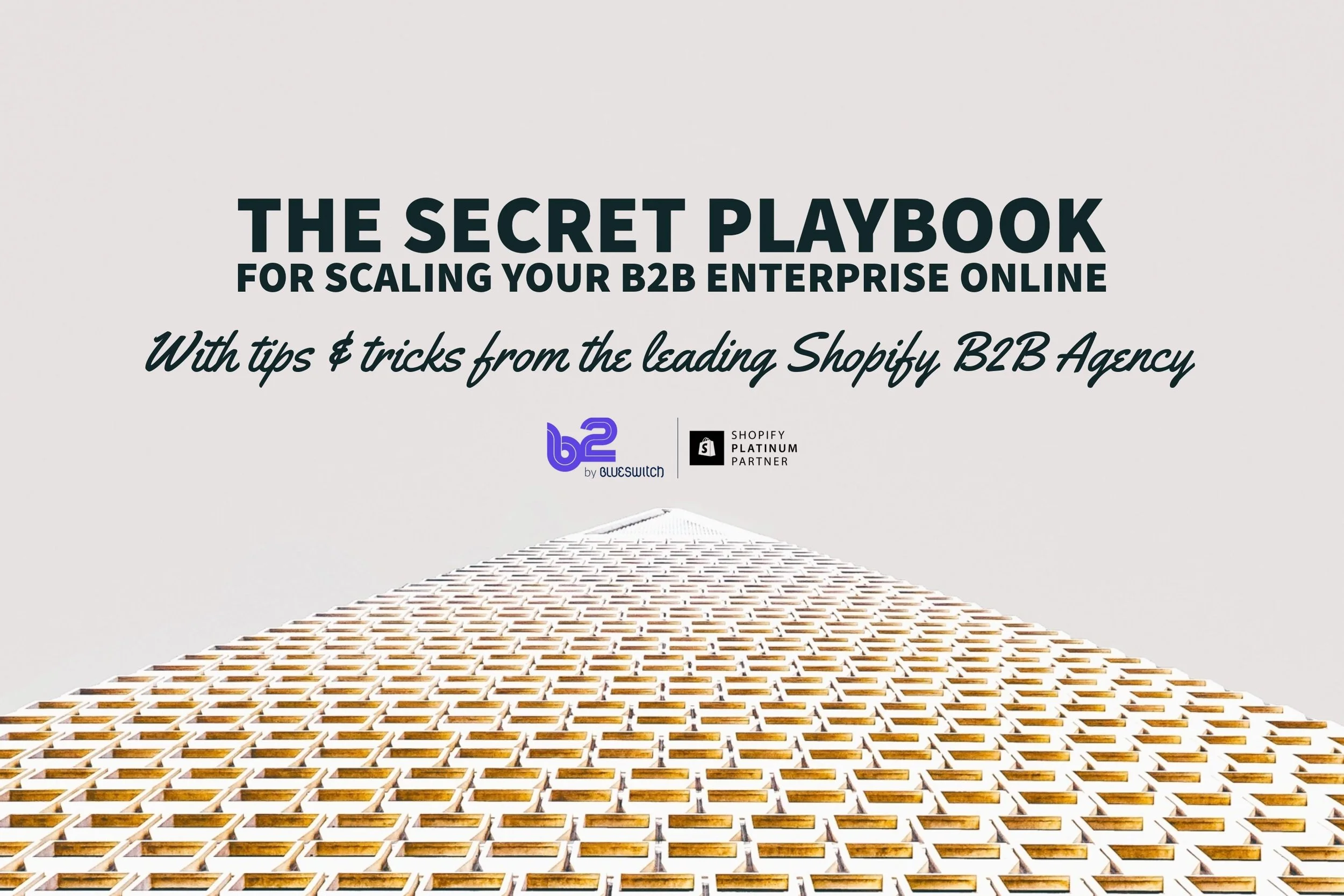 the Secret Playbook for Scaling Your B2B Enterprise Online