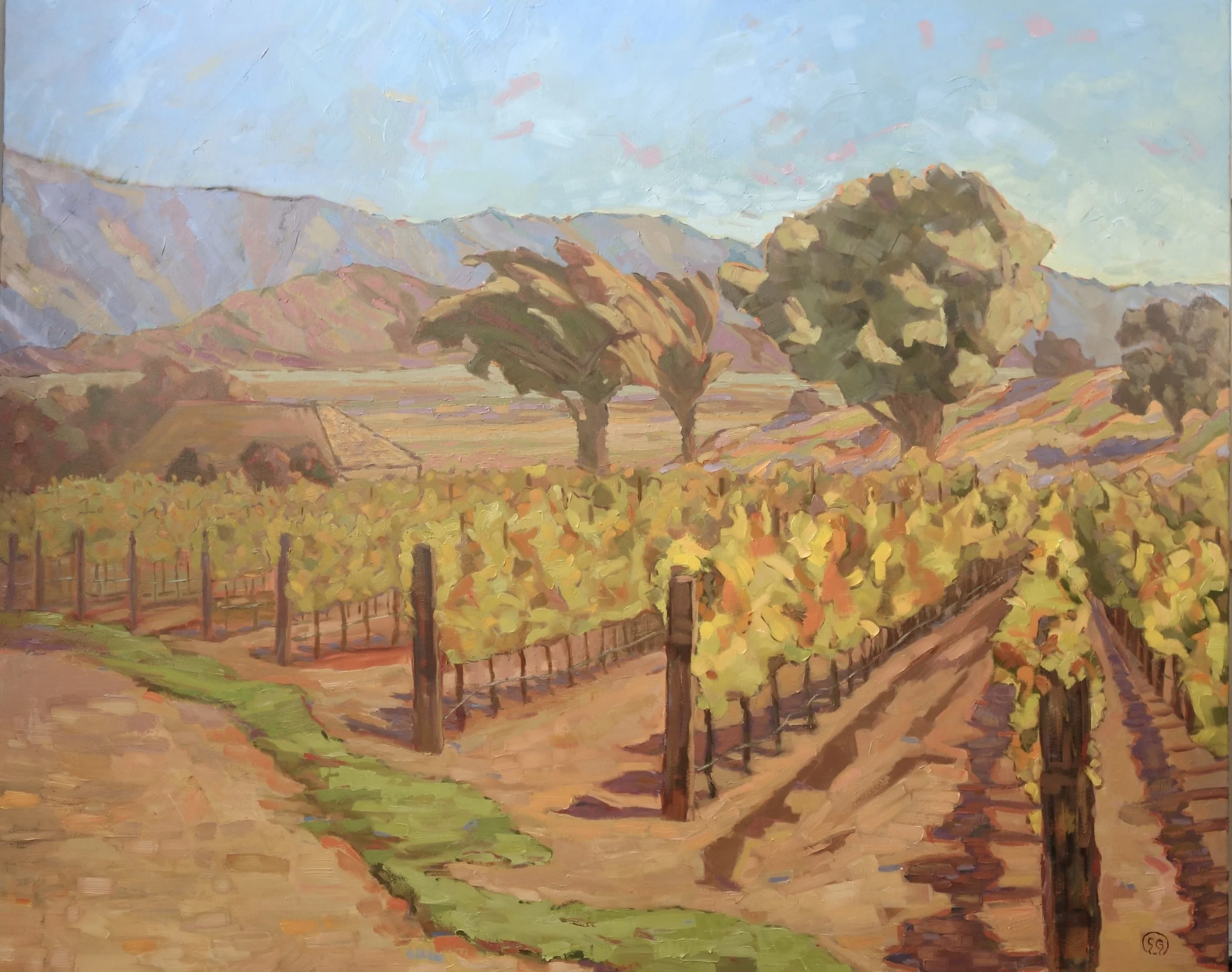 Vineyard Golden Fall