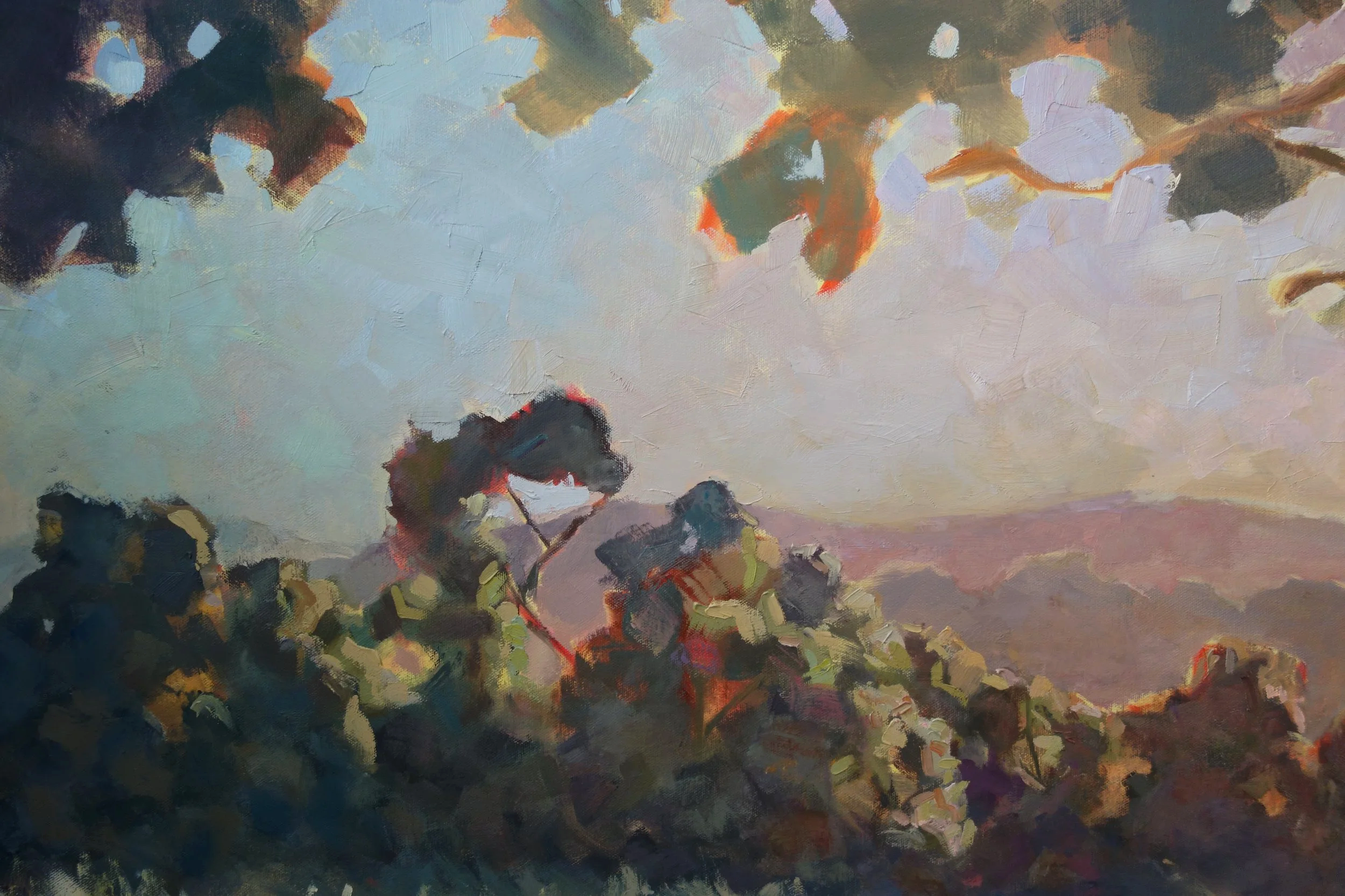 DSC06157.png