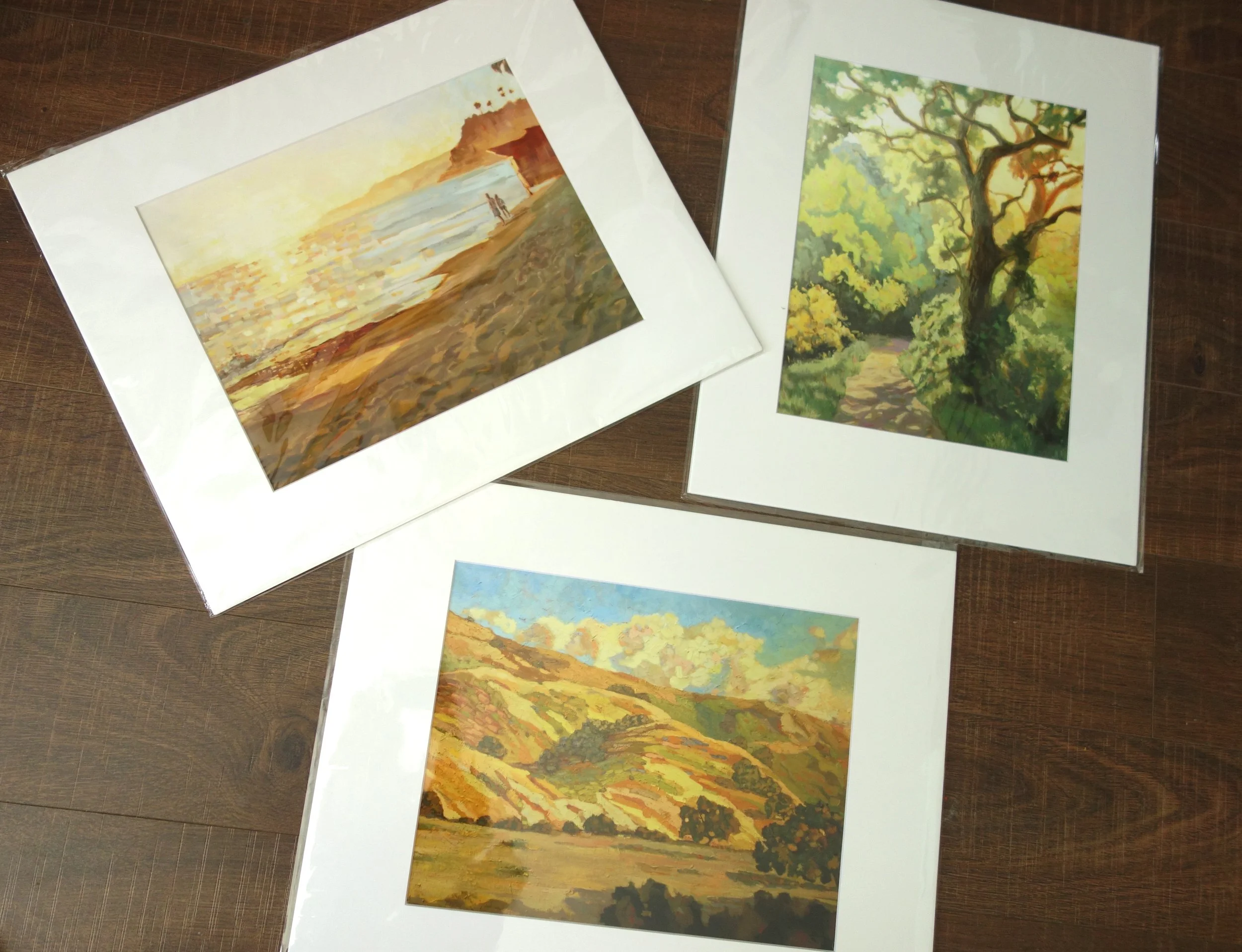 Fine Art Prints