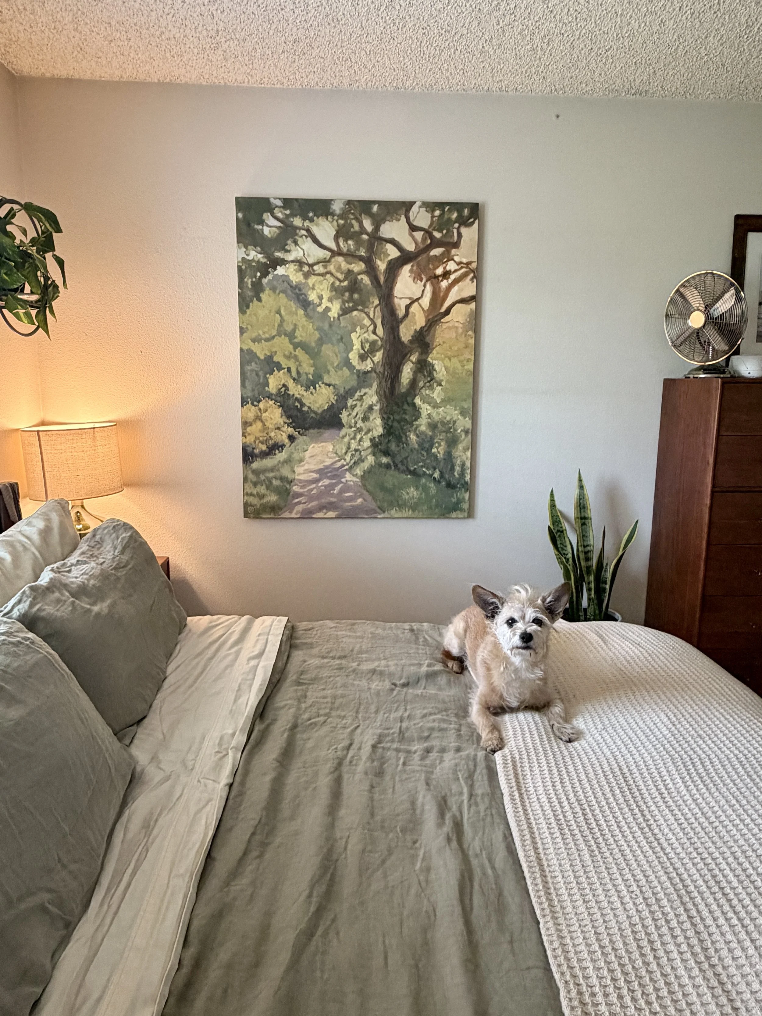 " We (and Buddy) are so happy with how it looks in our space!" - Los Angeles, California