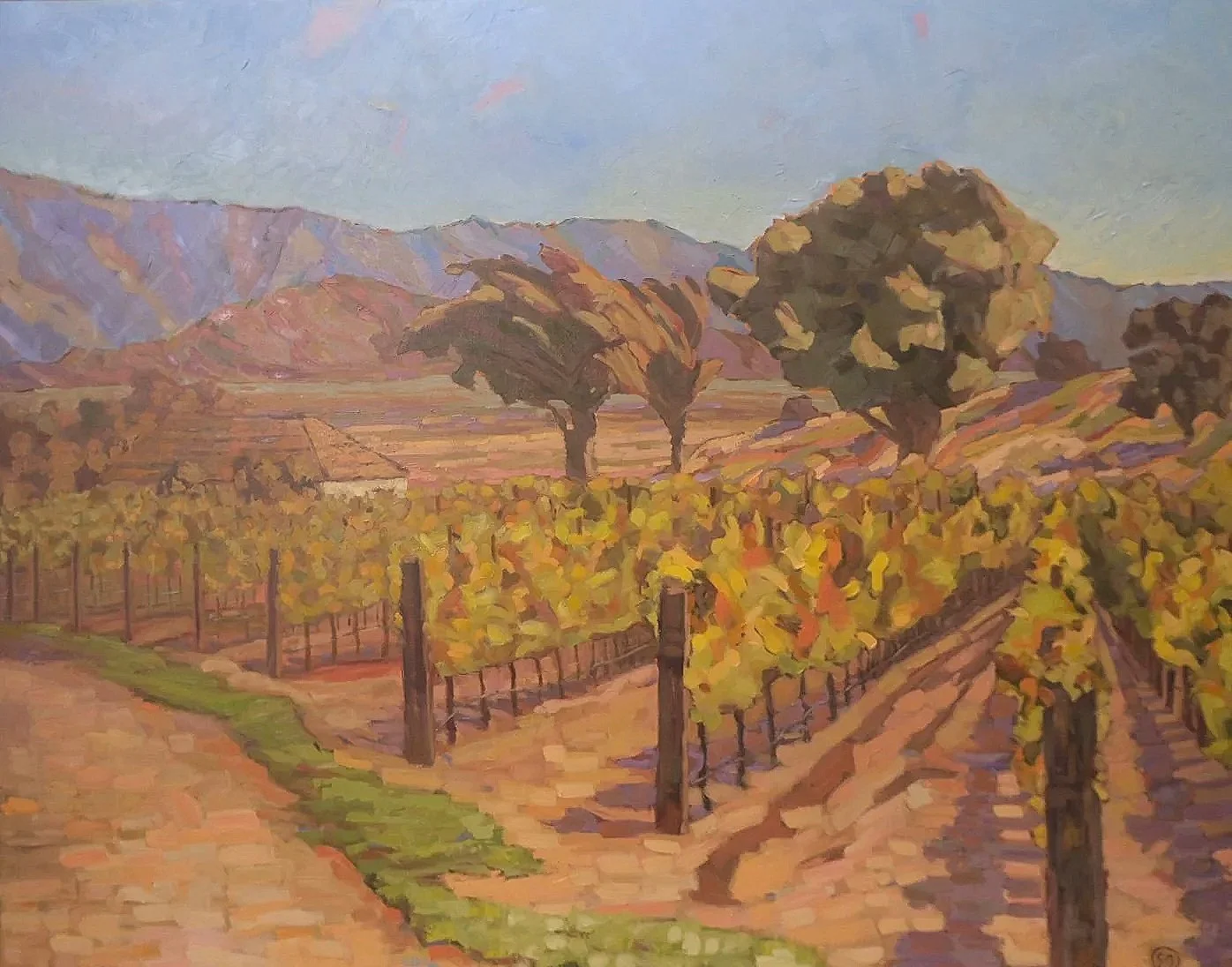 Vineyard Golden Fall