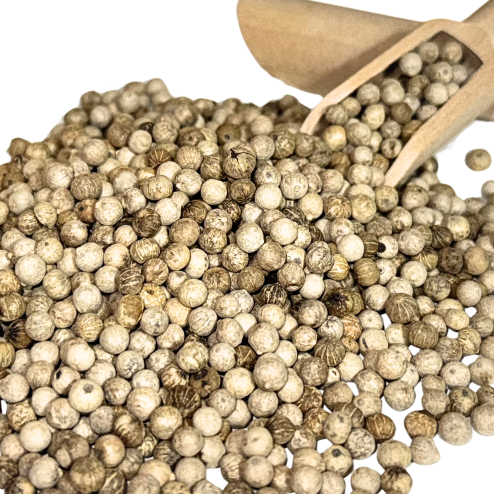 White%2BPepper.png