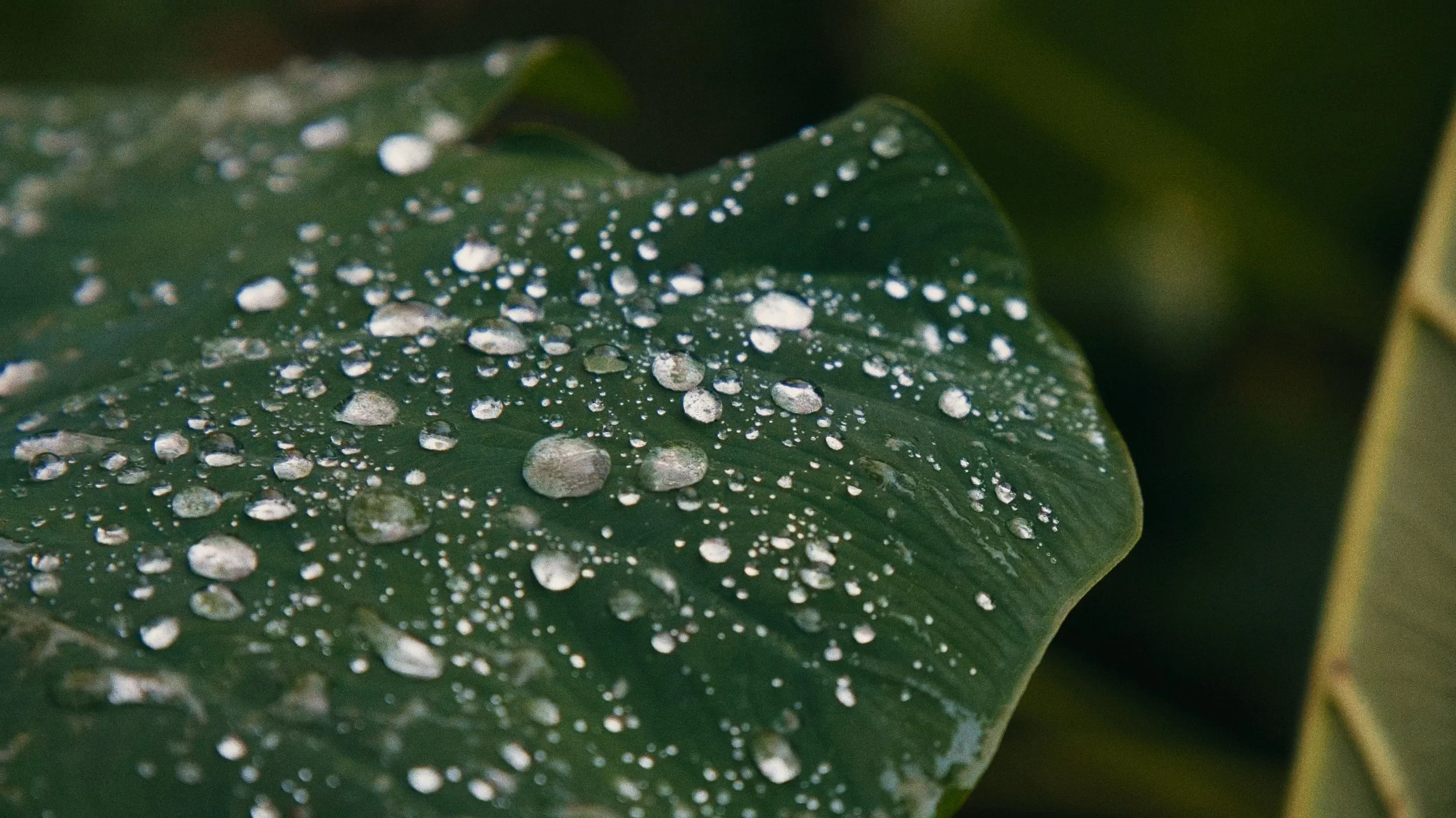 Cold Water Documentary