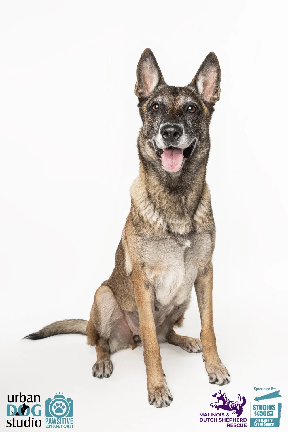 Urban_Dog_Studio--_LME8187-Edit copy.jpg