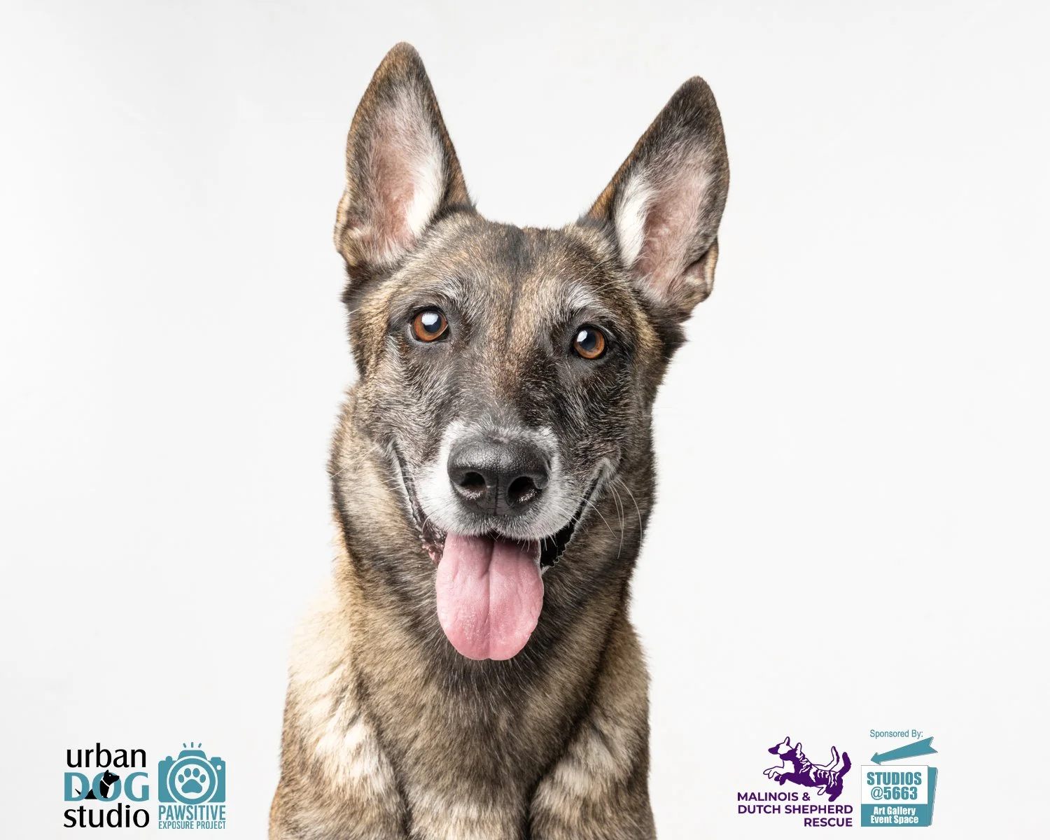 Urban_Dog_Studio--_LME8193-Edit copy.jpg