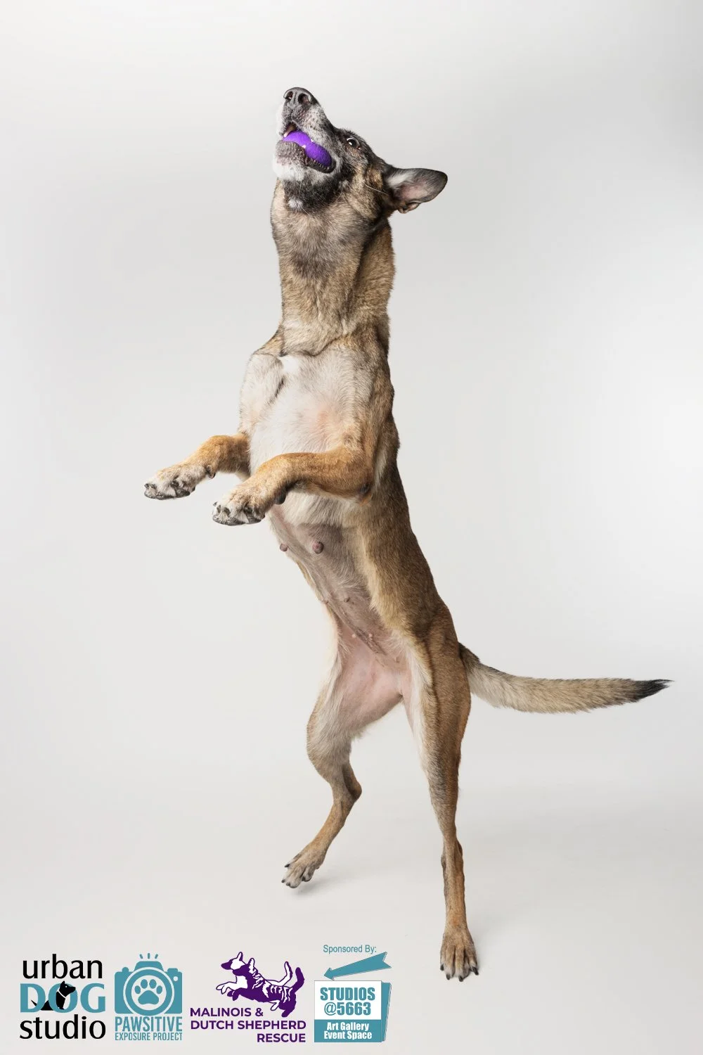 Urban_Dog_Studio--_LME8195-Edit copy.jpg