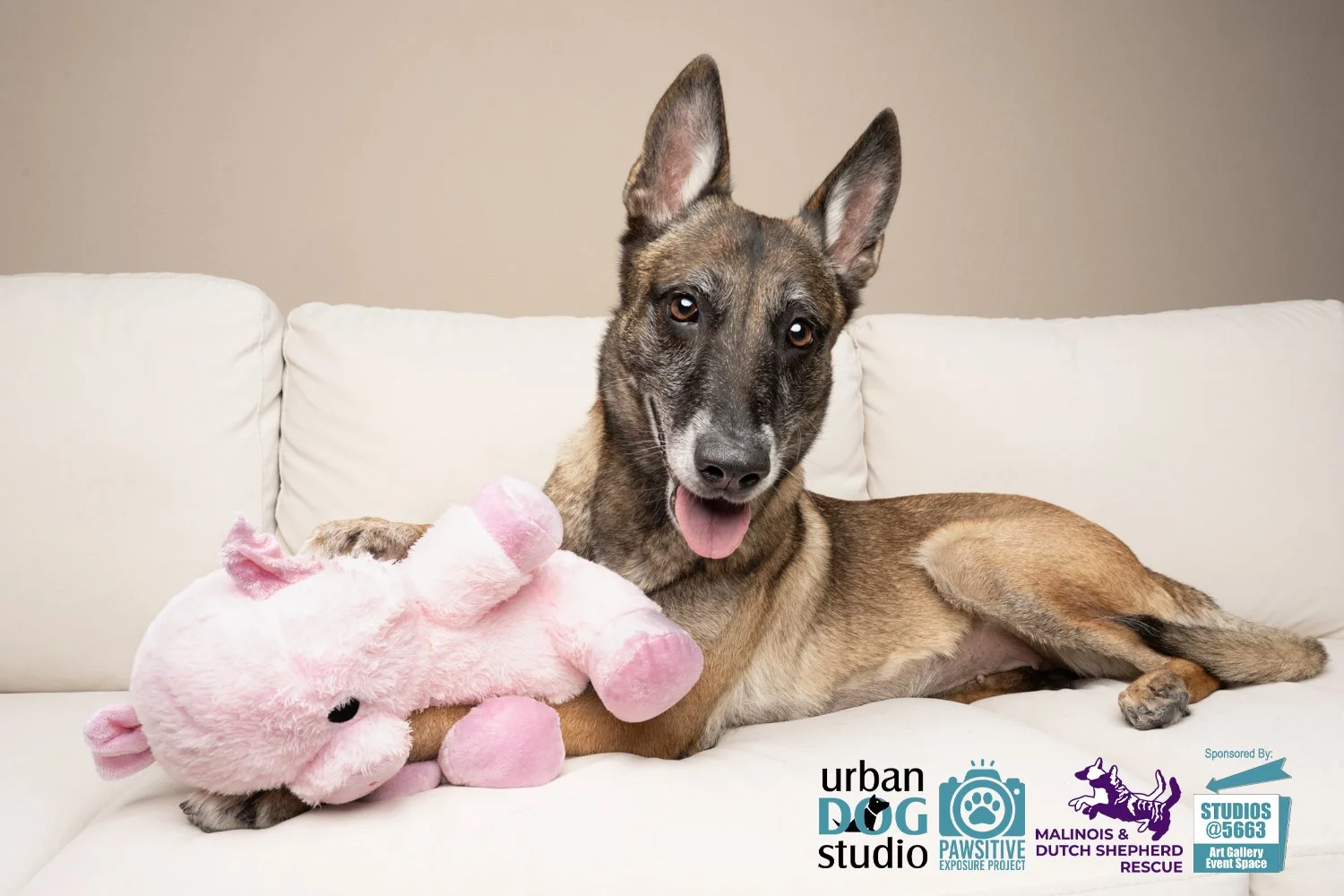 Urban_Dog_Studio--_LME8215-Edit copy.jpg
