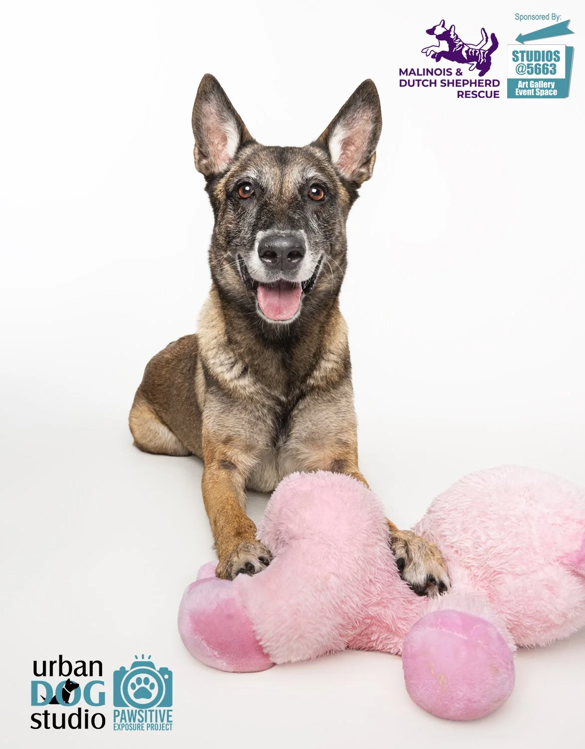Urban_Dog_Studio--_LME8225-Edit copy.jpg
