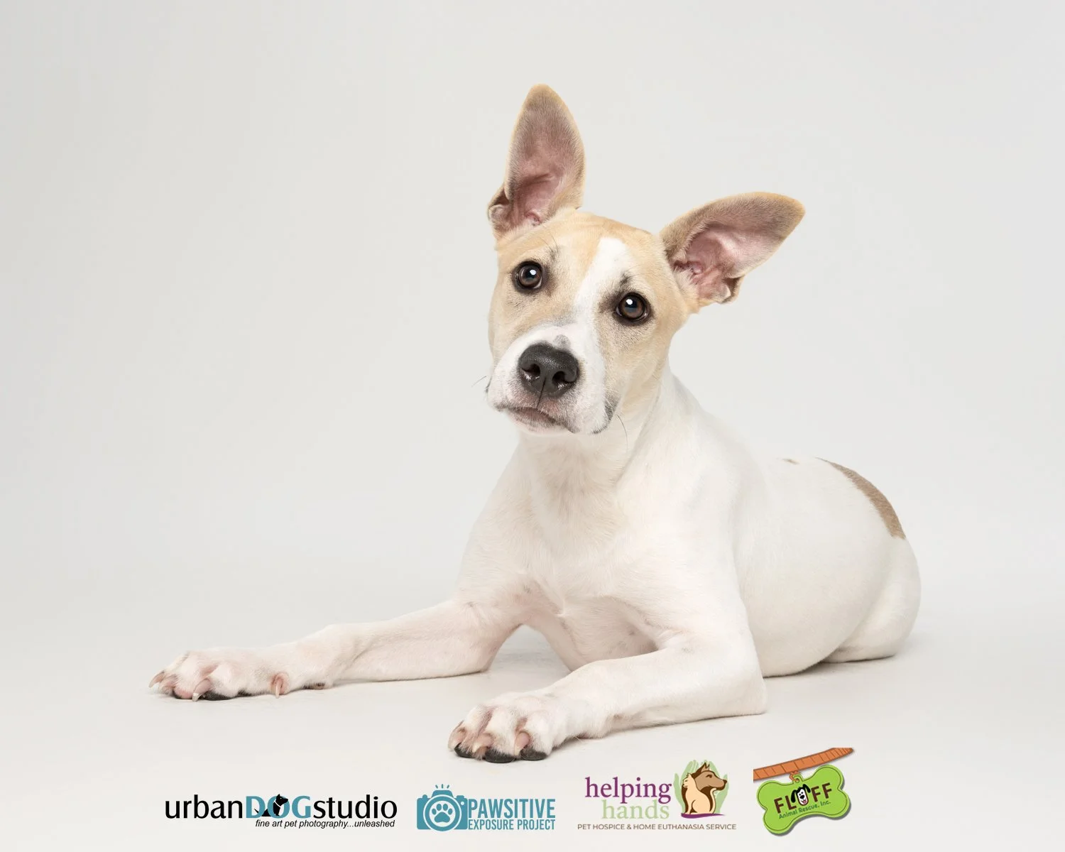 Urban_Dog_Studio--_LME8259-Edit copy.jpg