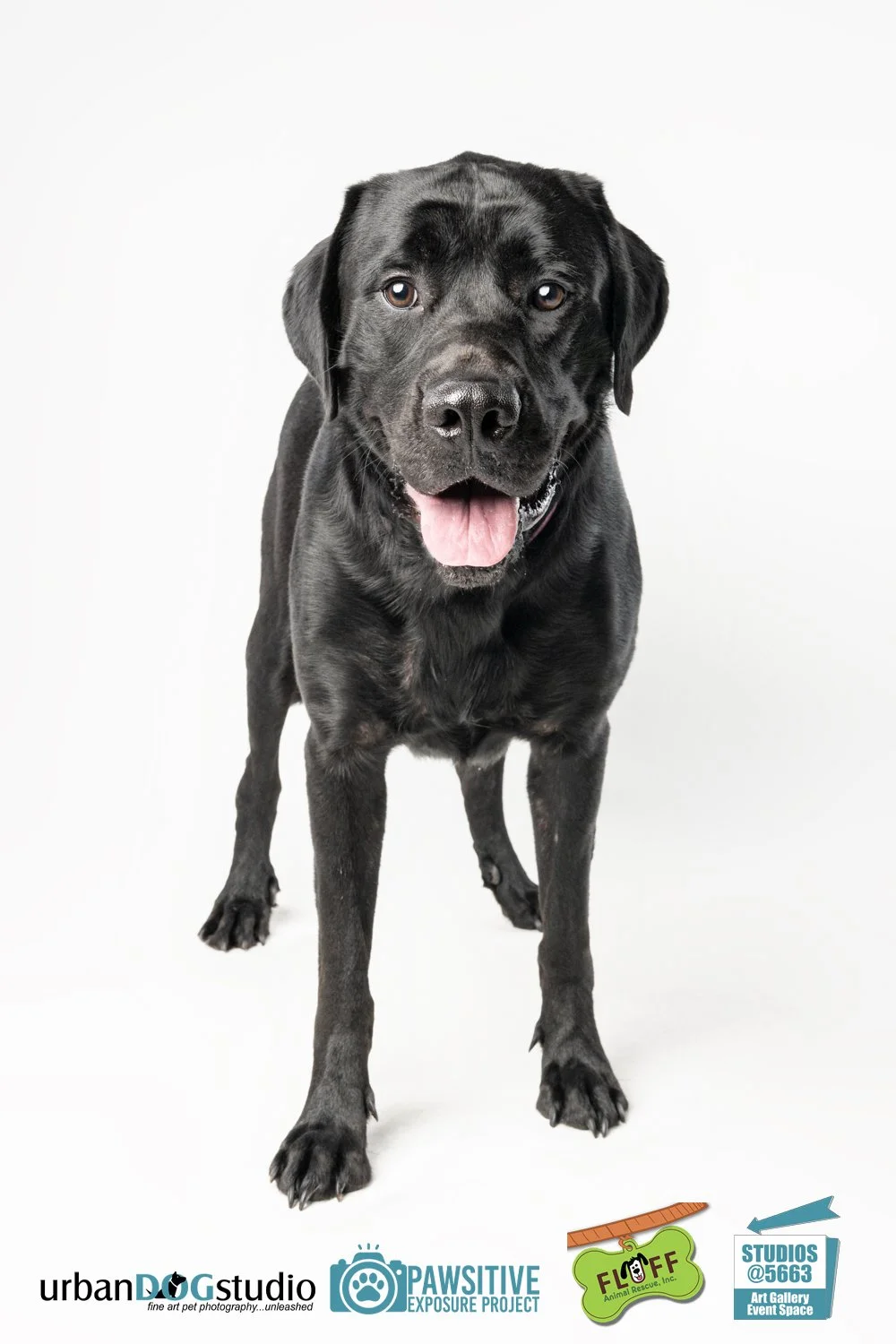 Urban_Dog_Studio--_LME8544-Edit copy.jpg