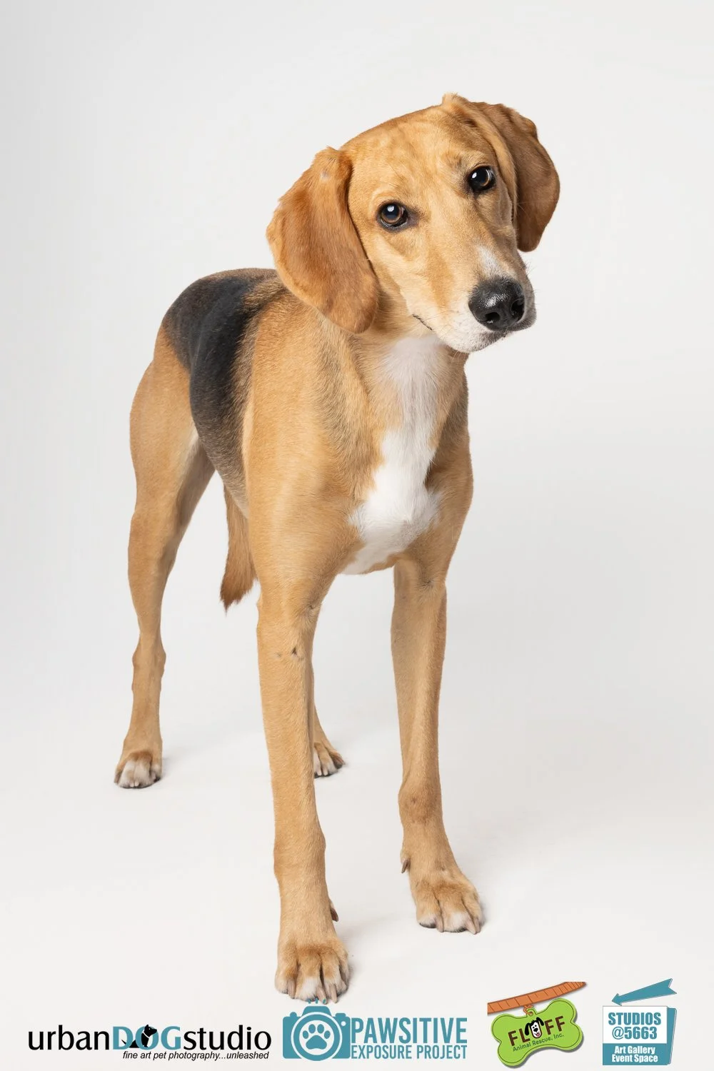 Urban_Dog_Studio-_LME8521-Edit copy.jpg
