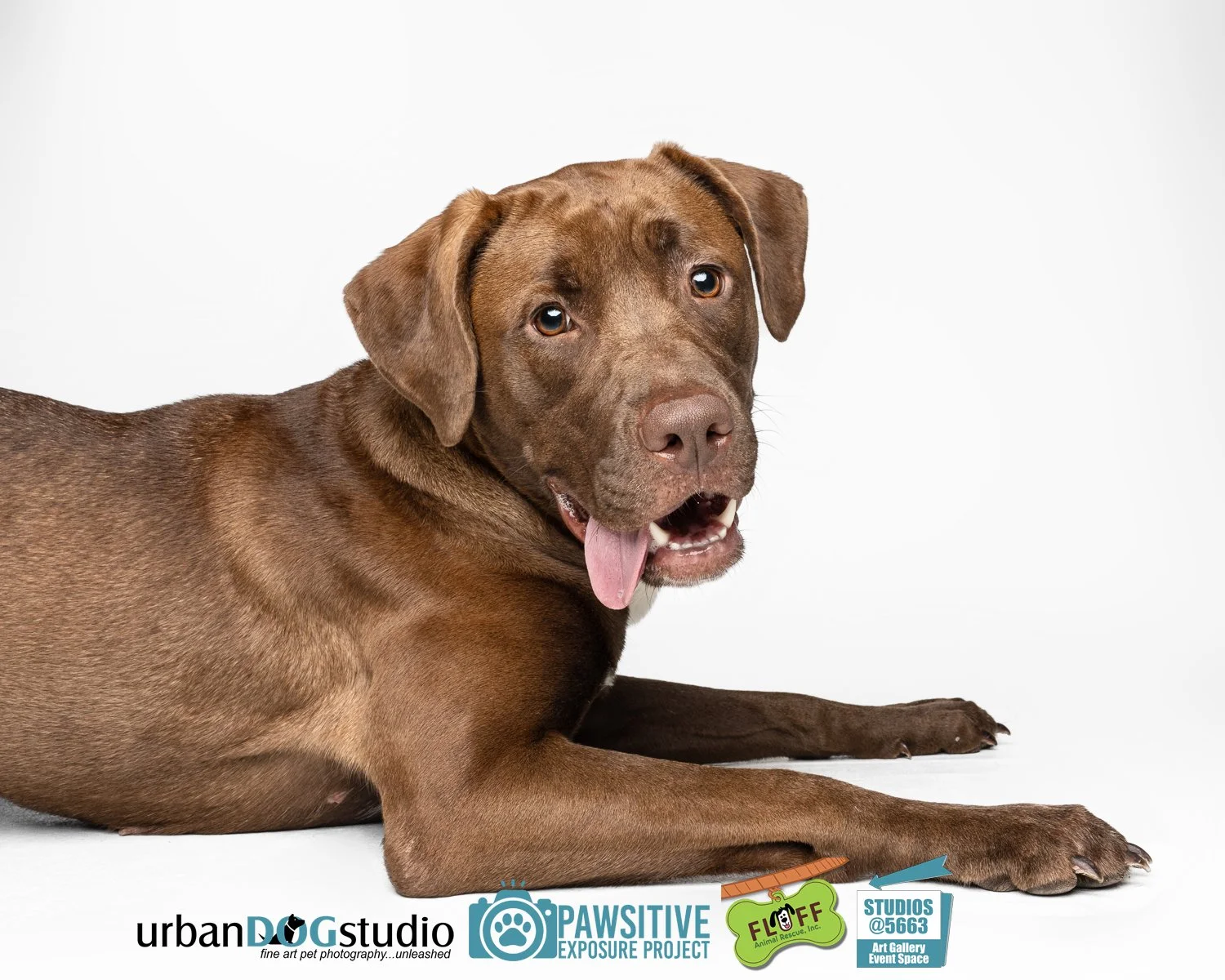 Urban_Dog_Studio-_LME8758-Edit copy.jpg