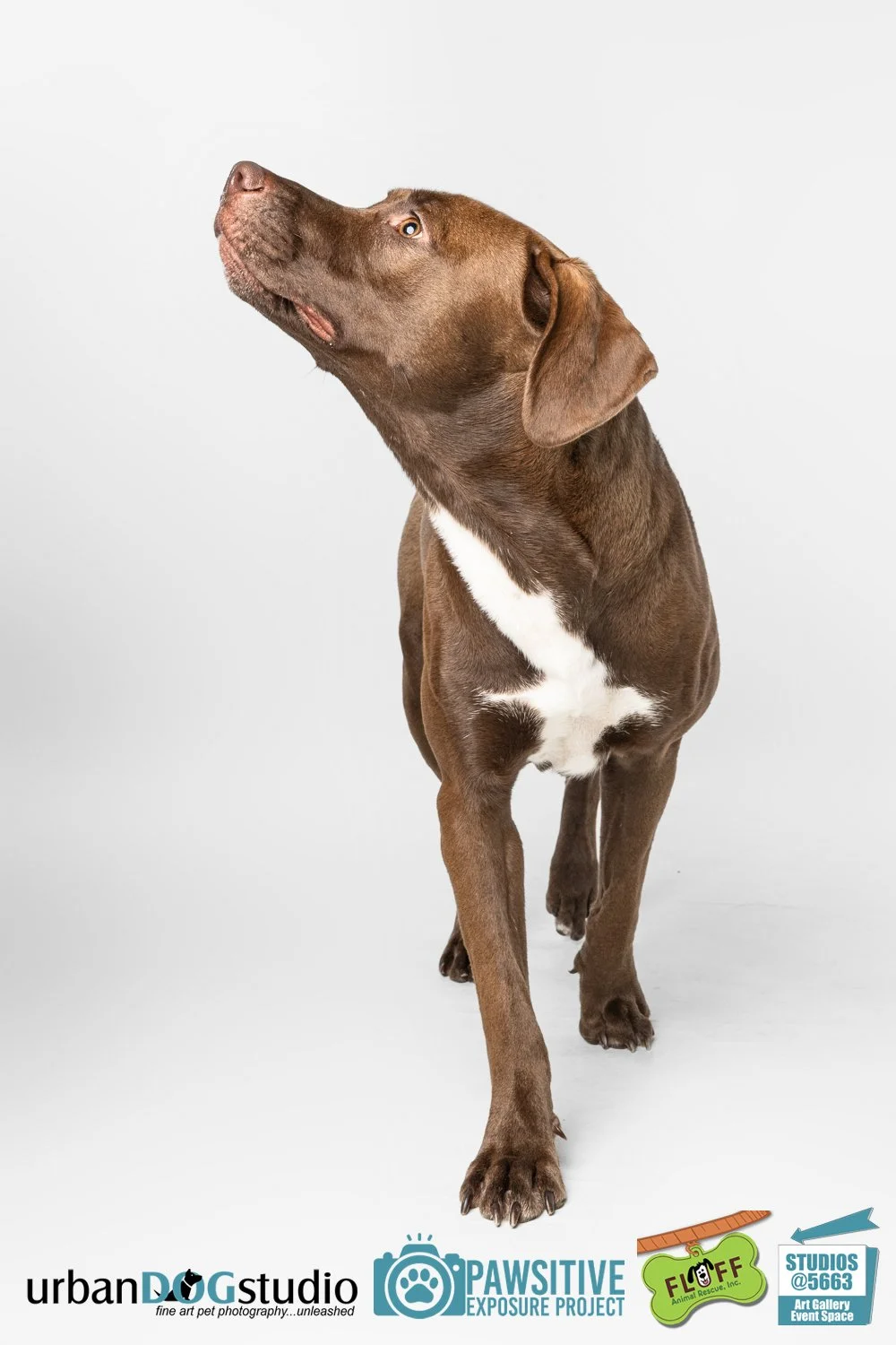 Urban_Dog_Studio-_LME8808-Edit copy.jpg