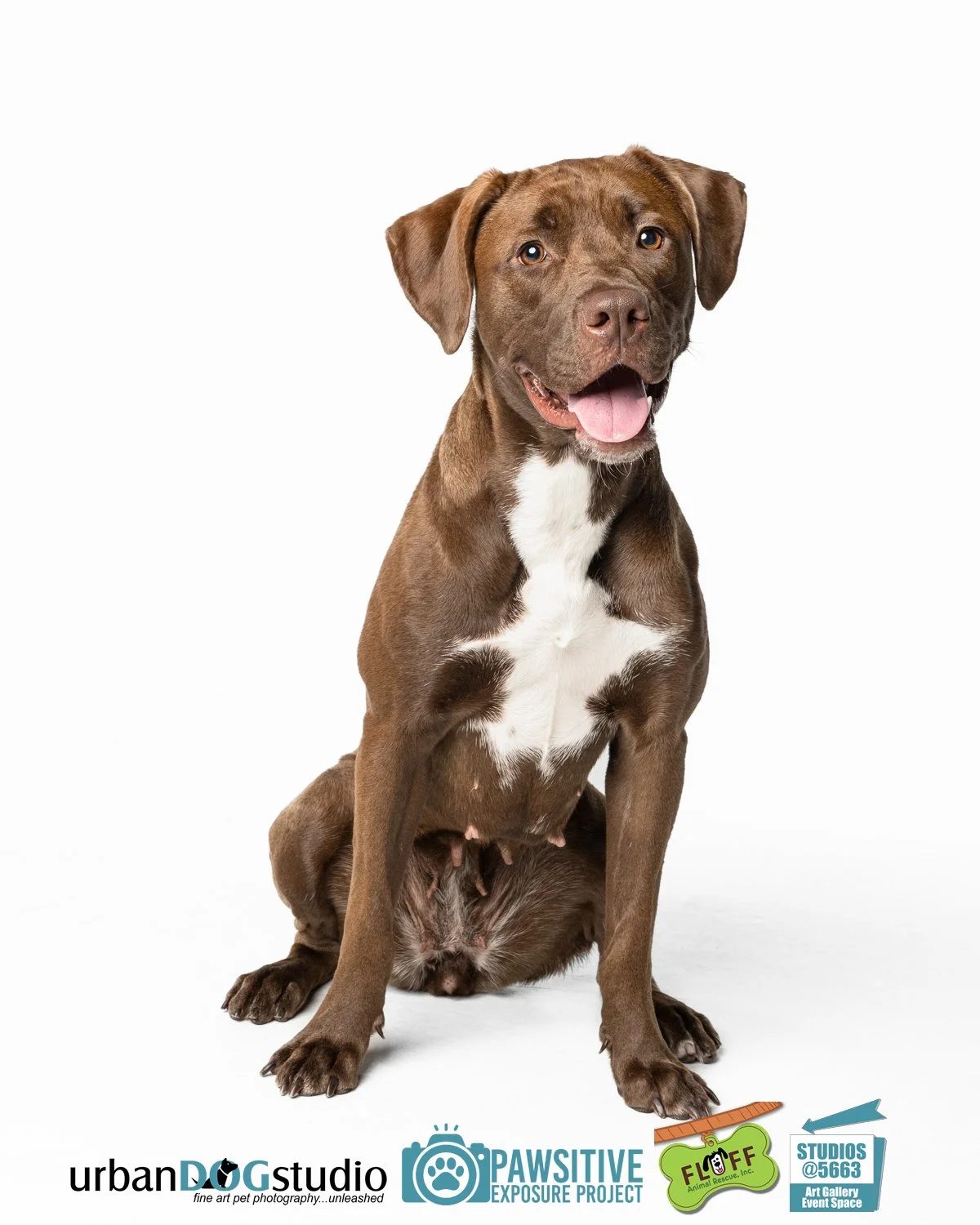 Urban_Dog_Studio-_LME8824-Edit copy.jpg