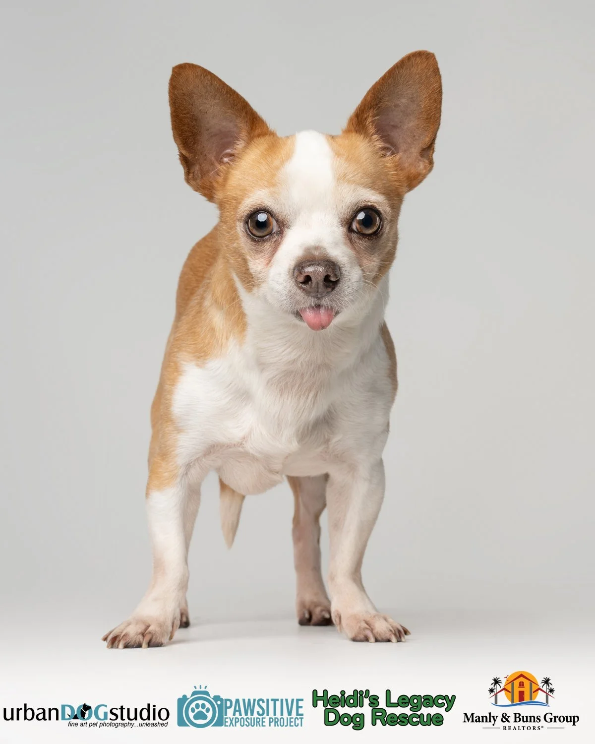 Urban_Dog_Studio--_LME8830-Edit copy.jpg