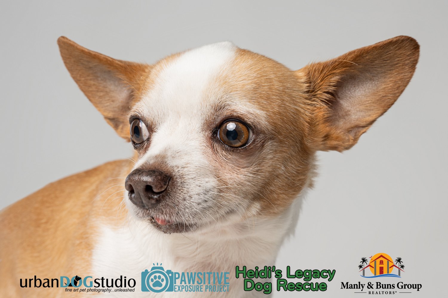 Urban_Dog_Studio--_LME8831-Edit copy.jpg