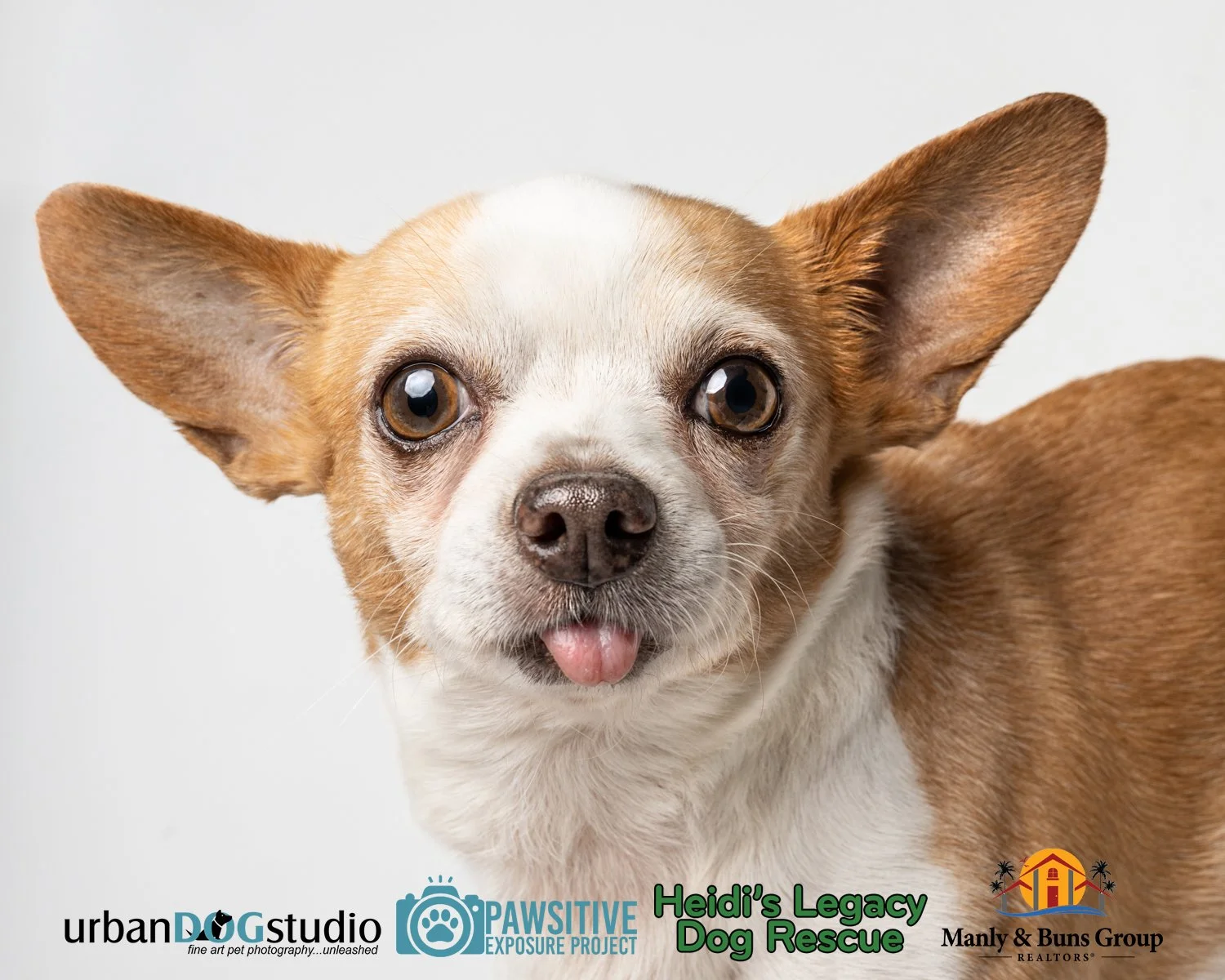 Urban_Dog_Studio--_LME8838-Edit copy.jpg