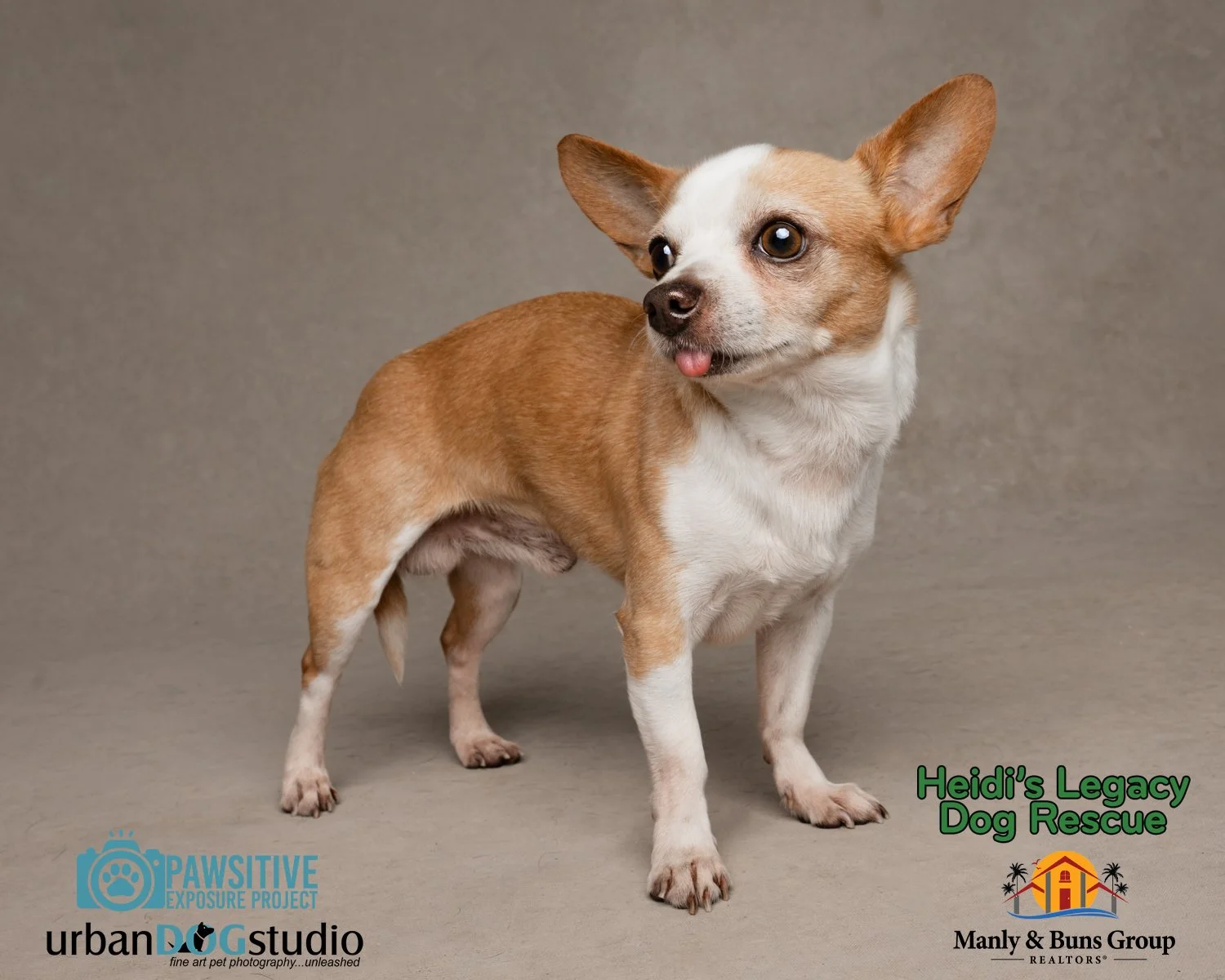 Urban_Dog_Studio--_LME8846-Edit copy.jpg