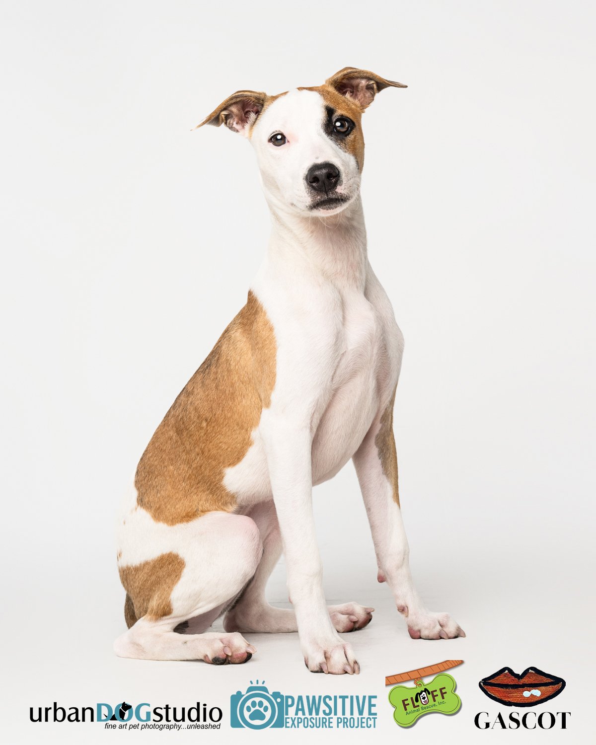 Urban_Dog_Studio-_LME8891-Edit copy.jpg